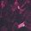 Color Swatch - Purple