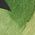 Color Swatch - Green