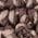 Color Swatch - Brown