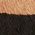 Color Swatch - Tiger