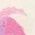 Color Swatch - White