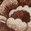 Color Swatch - Brown