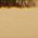 Color Swatch - Gold