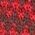 Color Swatch - Truffle Red
