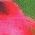 Color Swatch - Floral