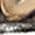 Color Swatch - Silver