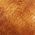 Color Swatch - Brown