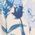 Color Swatch - Floral