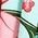 Color Swatch - Floral