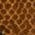 Color Swatch - Animal