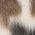 Color Swatch - Animal