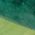 Color Swatch - Green