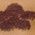 Color Swatch - Brown
