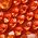 Color Swatch - Orange