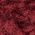 Color Swatch - Coffee Berry