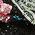 Color Swatch - Floral