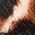 Color Swatch - Animal