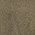 Color Swatch - Olive