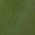Color Swatch - Green