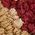 Color Swatch - Red Multi