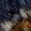 Color Swatch - Blue