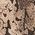 Color Swatch - Brown