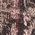 Color Swatch - Brown
