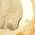 Color Swatch - Gold