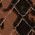Color Swatch - Brown/Gold