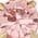Color Swatch - Pink