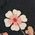 Color Swatch - Floral