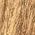 Color Swatch - Brown