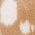 Color Swatch - Camel White