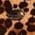 Color Swatch - Animal