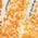 Color Swatch - Orange