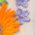 Color Swatch - Multi