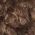 Color Swatch - Chocolate