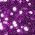 Color Swatch - Purple