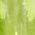 Color Swatch - Green