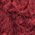 Color Swatch - Red