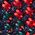 Color Swatch - Red