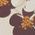 Color Swatch - Quilted Florals