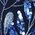 Color Swatch - Blue