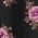 Color Swatch - Floral