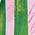 Color Swatch - Cactus Mountain