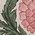 Color Swatch - Pink/Green