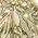 Color Swatch - Gold