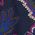 Color Swatch - Floral