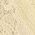 Color Swatch - Yellow