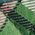 Color Swatch - Green